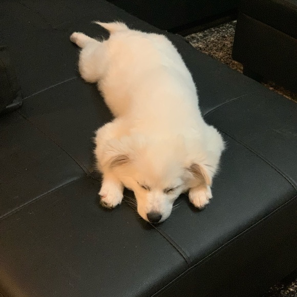 Meet your Posher, Winter - Picture 2 of 6